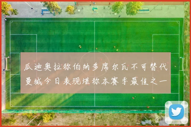 瓜迪奥拉称伯纳多席尔瓦不可替代曼城今日表现堪称本赛季最佳之一