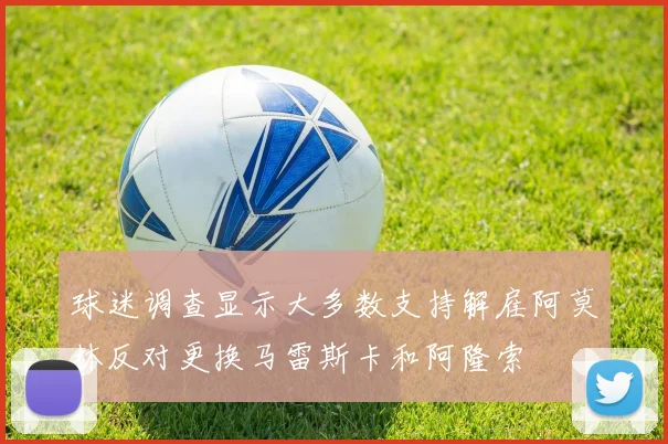 球迷调查显示大多数支持解雇阿莫林反对更换马雷斯卡和阿隆索
