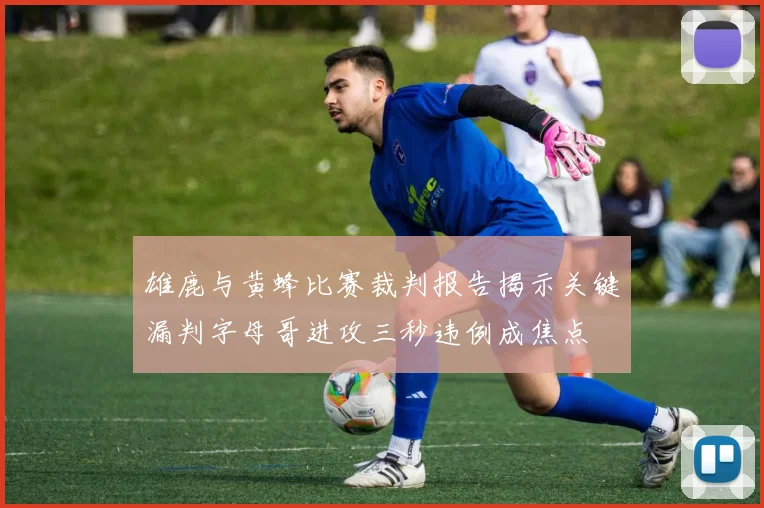 雄鹿与黄蜂比赛裁判报告揭示关键漏判字母哥进攻三秒违例成焦点