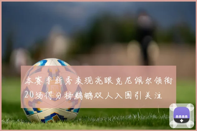 本赛季新秀表现亮眼克尼佩尔领衔20场得分榜鹈鹕双人入围引关注
