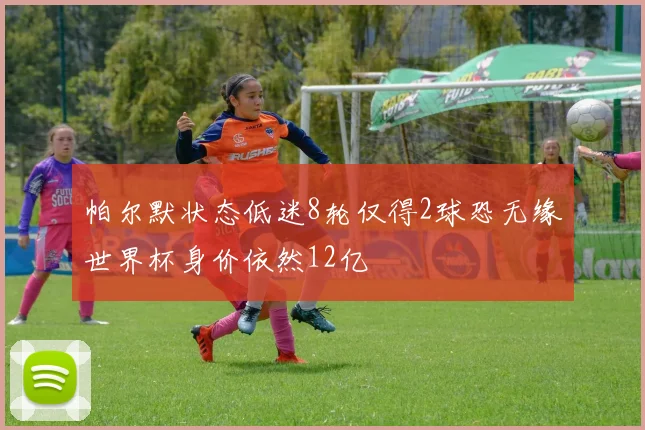 帕尔默状态低迷8轮仅得2球恐无缘世界杯身价依然12亿