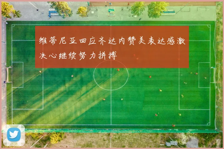 维蒂尼亚回应齐达内赞美表达感激决心继续努力拼搏